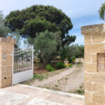 Home oplus 0