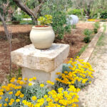 Home oplus 288