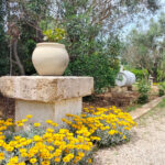 Home oplus 256