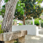 Home oplus 288