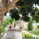 Home oplus 256