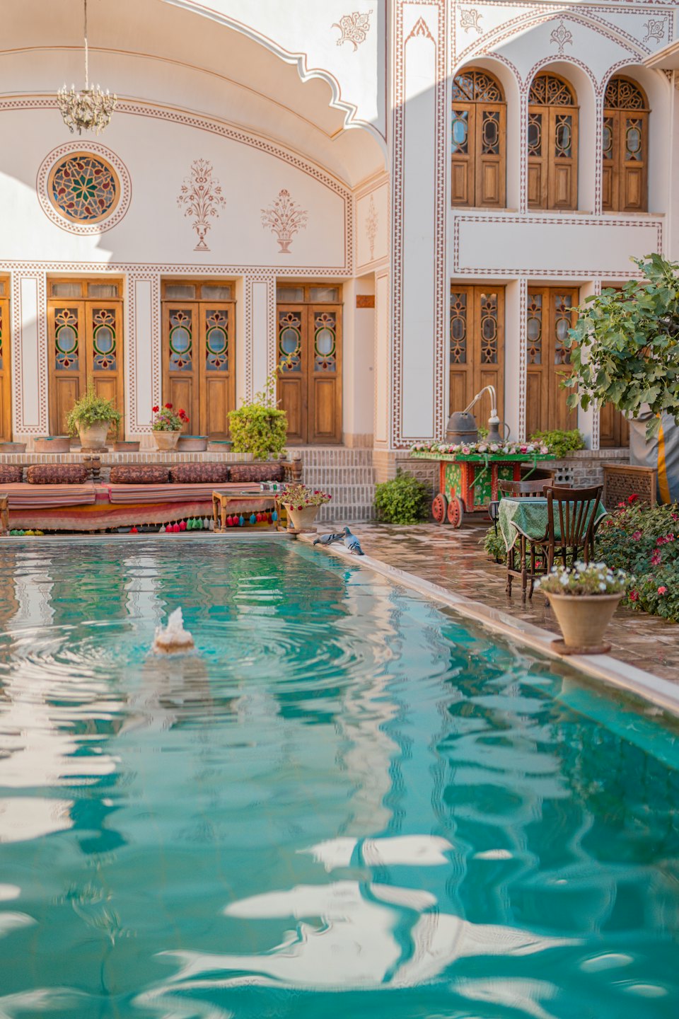 Due piccioni si trovano vicino a una piscina decorativa del cortile con posti a sedere circostanti.